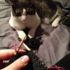 Fitting, Knitting, and waiting… Fitting, Knitting, and waiting…
