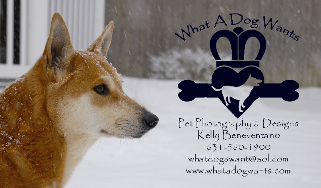 What a Dog Wants business card