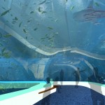 12-open ocean tunnel