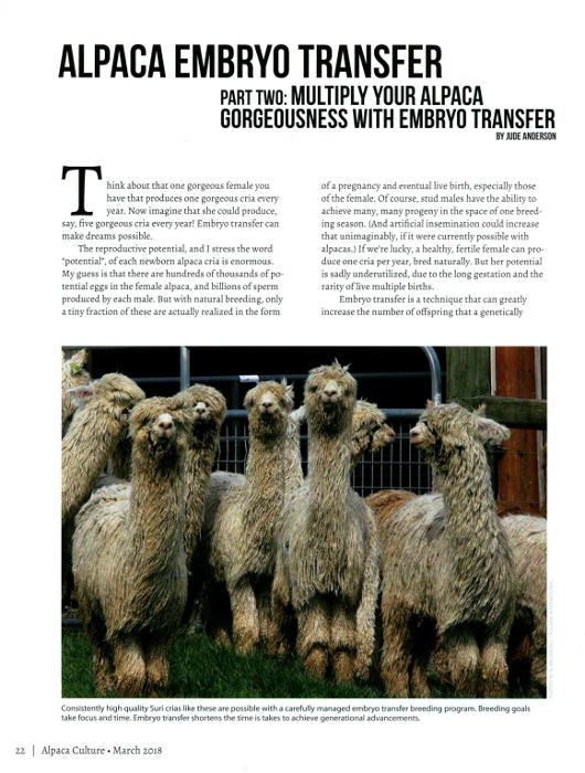 Article about alpaca breeding techniques