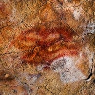 Red animal shapes from Altamira cave paintings, Spain, c. 34,000 B.C.E.